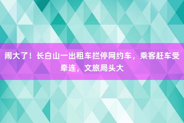 闹大了！长白山一出租车拦停网约车，乘客赶车受牵连，文旅局头大