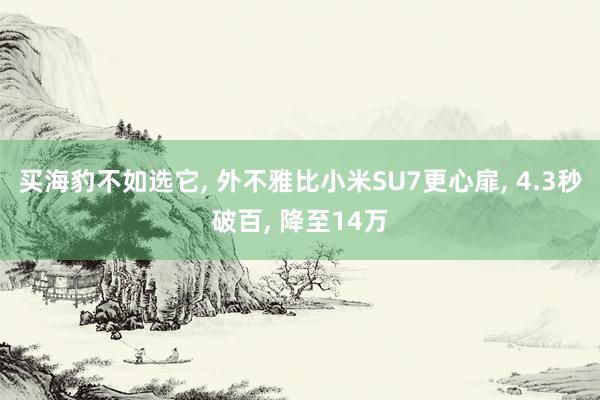 买海豹不如选它, 外不雅比小米SU7更心扉, 4.3秒破百, 降至14万