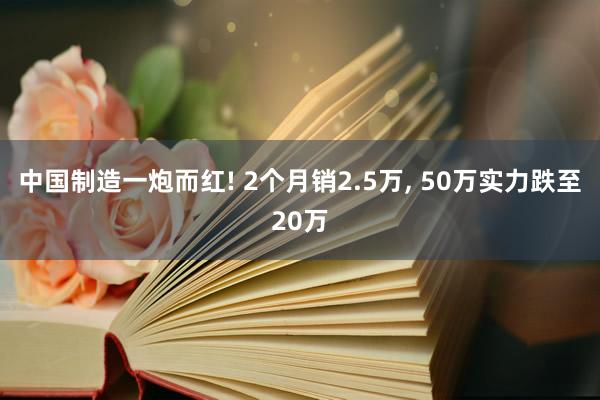 中国制造一炮而红! 2个月销2.5万, 50万实力跌至20万