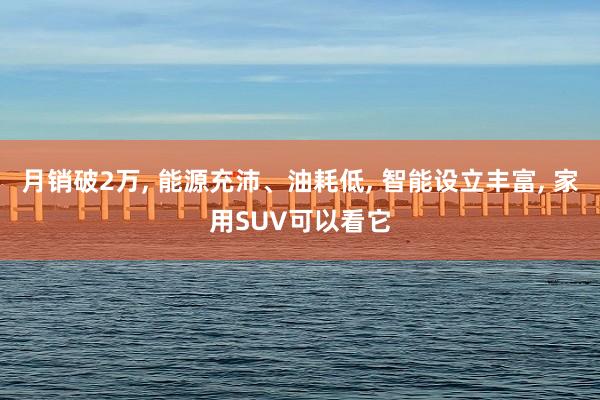 月销破2万, 能源充沛、油耗低, 智能设立丰富, 家用SUV可以看它