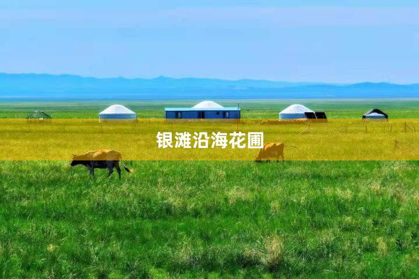 银滩沿海花圃