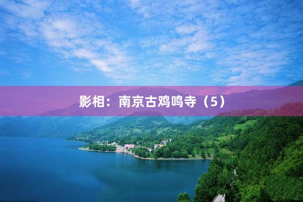 影相：南京古鸡鸣寺（5）
