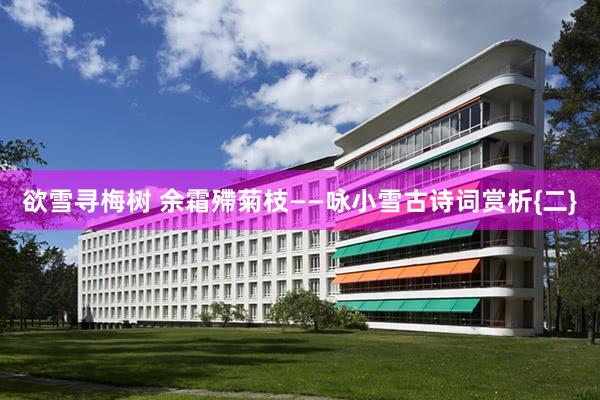 欲雪寻梅树 余霜殢菊枝——咏小雪古诗词赏析{二}