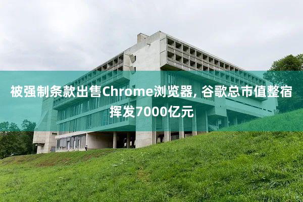 被强制条款出售Chrome浏览器, 谷歌总市值整宿挥发7000亿元