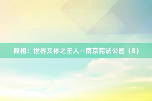 照相：世界文体之王人--南京宪法公园（8）