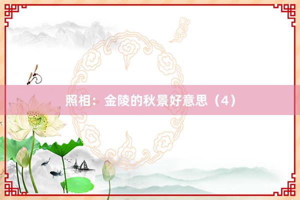 照相：金陵的秋景好意思（4）