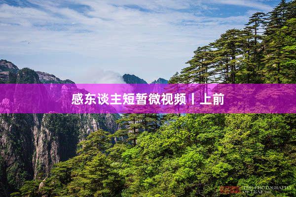 感东谈主短暂微视频丨上前