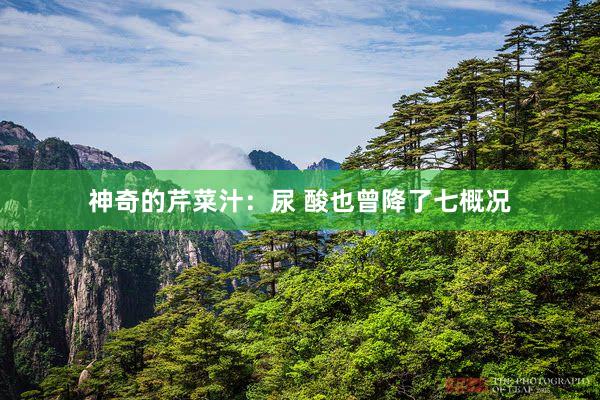 神奇的芹菜汁：尿 酸也曾降了七概况