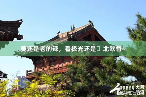 姜还是老的辣，看极光还是️北欧香~