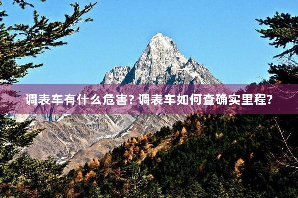 调表车有什么危害? 调表车如何查确实里程?